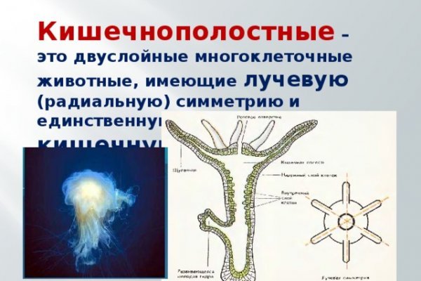 Блэк спрут или мега